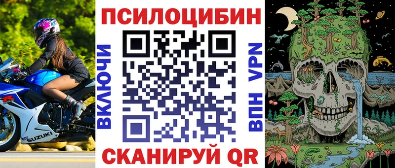 Псилоцибиновые грибы прущие грибы Таганрог