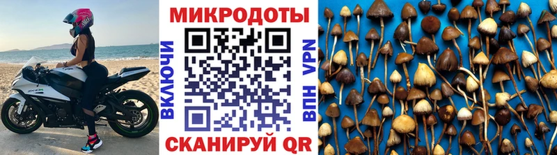 наркошоп  Таганрог  Галлюциногенные грибы мухоморы 